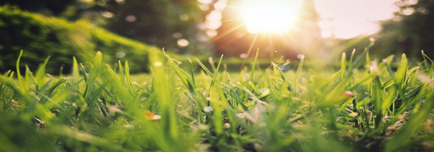 Spring Cleaning Tips