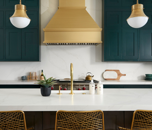 The BEST® of Both Worlds: Performance that stands out. Design that blends in.