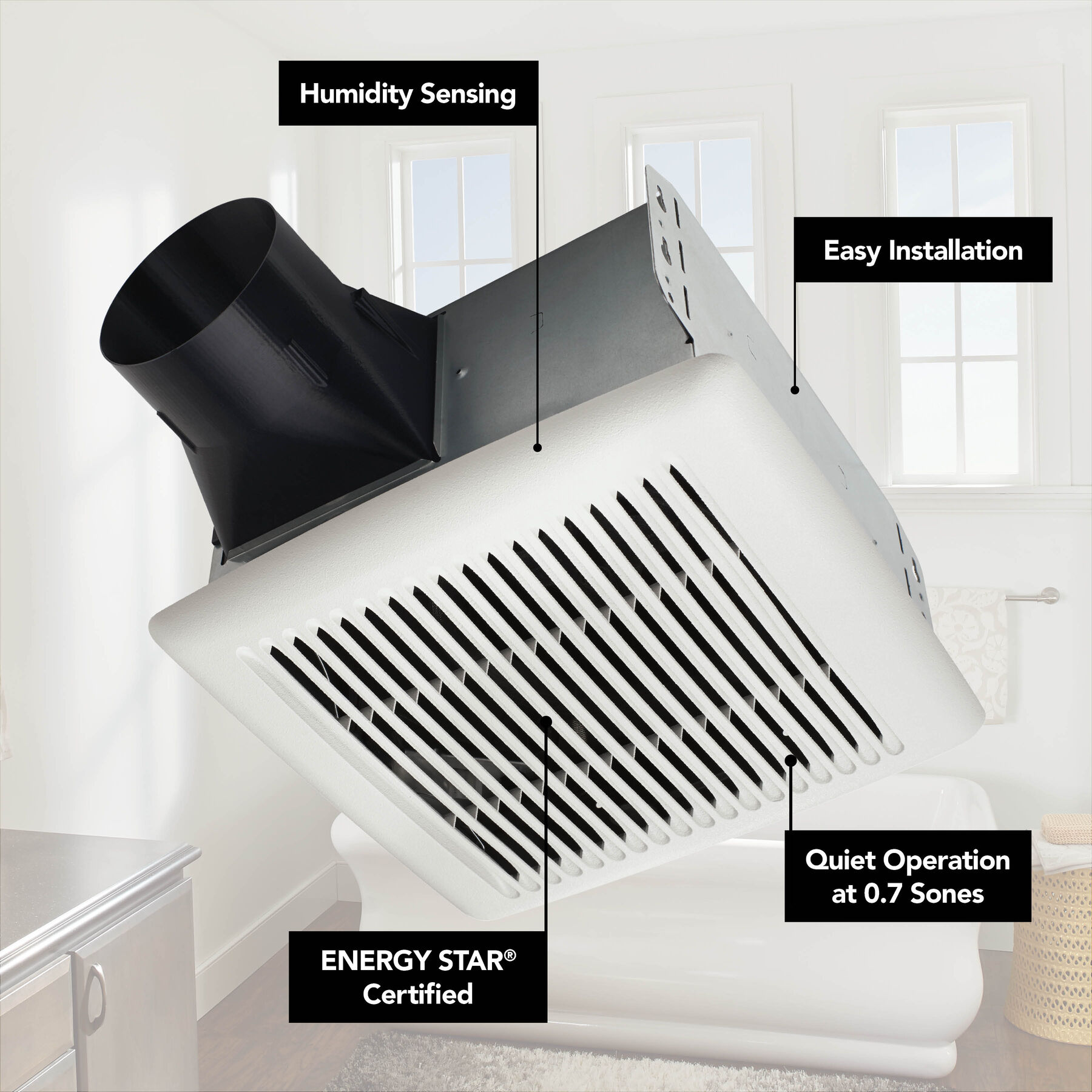 AE80S_1.jpg?width=1800&height=